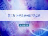 人教版（2024）生物八年年級(jí)上冊 4.6.3 神經(jīng)系統(tǒng)支配下的運(yùn)動(dòng) （課件）