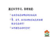 人教版（2024）生物八年年級(jí)上冊 4.6.3 神經(jīng)系統(tǒng)支配下的運(yùn)動(dòng) （課件）
