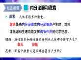 人教版（2024）生物八年年級上冊 4.6.4 激素調(diào)節(jié) （課件）