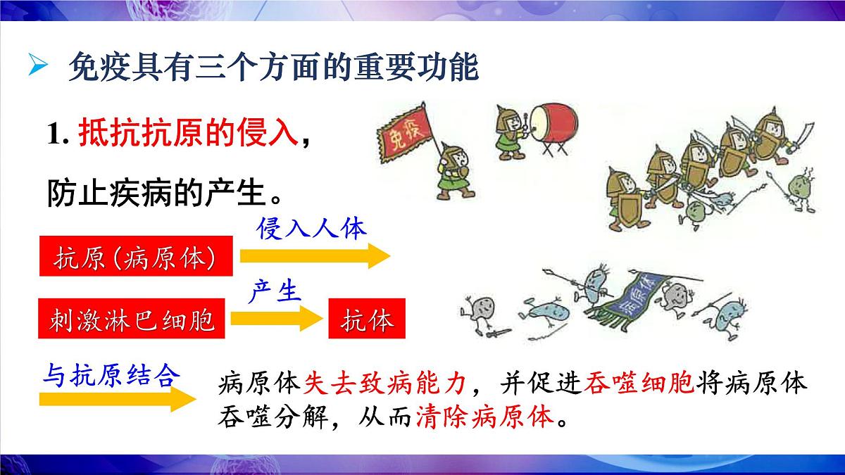 第2课时 免疫的功能、免疫规划第5页