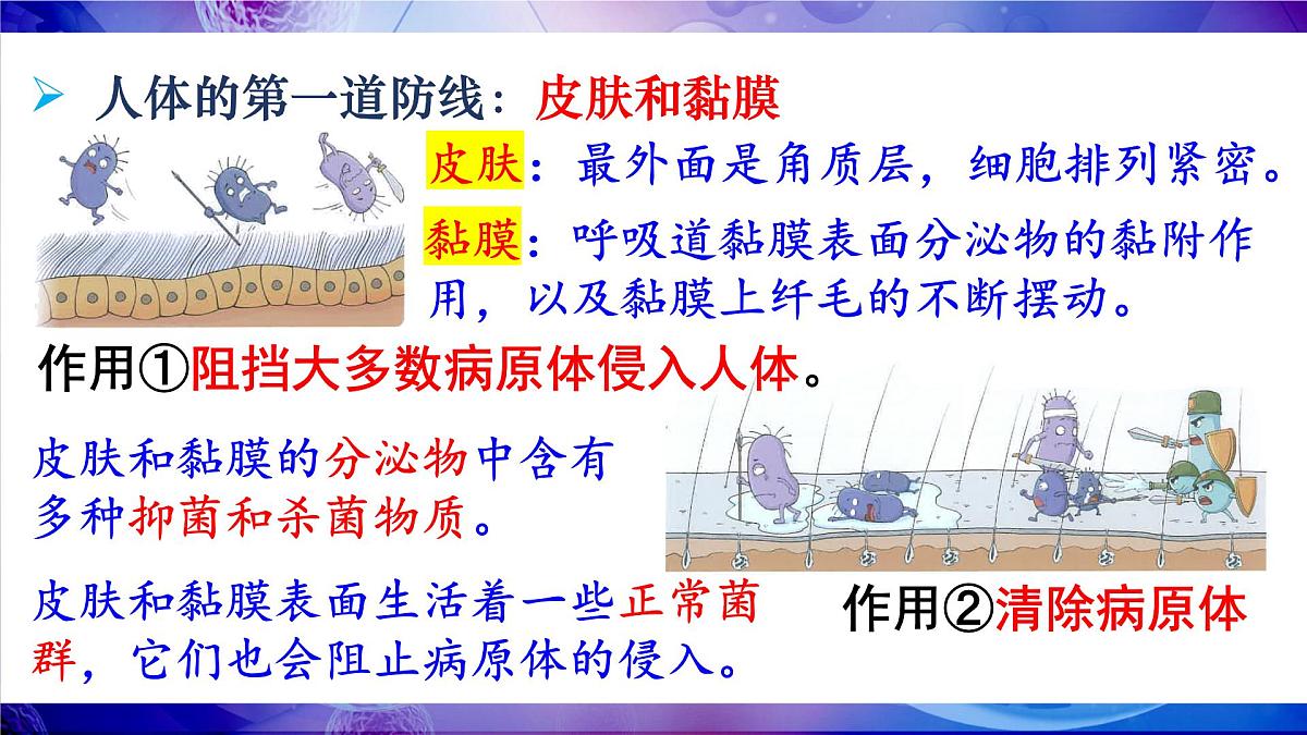 第1课时 人体的三道防线第7页