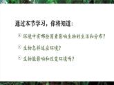 人教版（2024）生物八年年級上冊 5.1.1 生物與環(huán)境的相互作用 （課件）