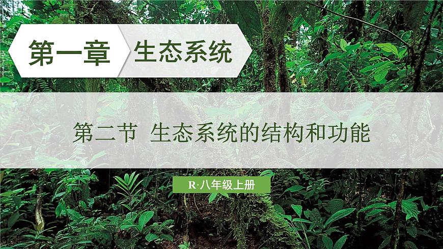 第二节 生态系统的结构和功能第1页