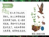 人教版（2024）生物八年年級上冊 5.1.2 生態(tài)系統(tǒng)的結(jié)構(gòu)和功能 （課件）