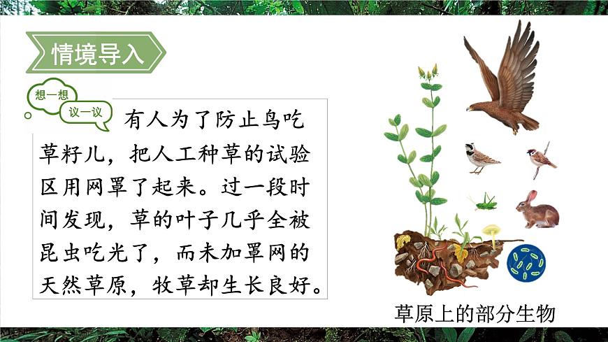 第二节 生态系统的结构和功能第2页