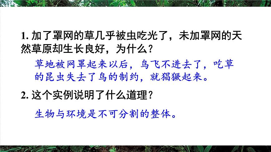第二节 生态系统的结构和功能第3页