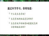 人教版（2024）生物八年年級上冊 5.1.2 生態(tài)系統(tǒng)的結(jié)構(gòu)和功能 （課件）
