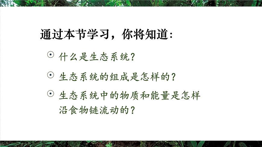 第二节 生态系统的结构和功能第4页