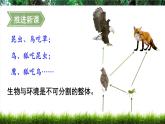 人教版（2024）生物八年年級上冊 5.1.2 生態(tài)系統(tǒng)的結(jié)構(gòu)和功能 （課件）