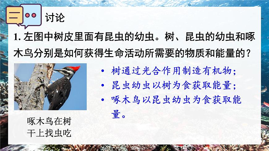 第二节 生态系统的结构和功能第8页