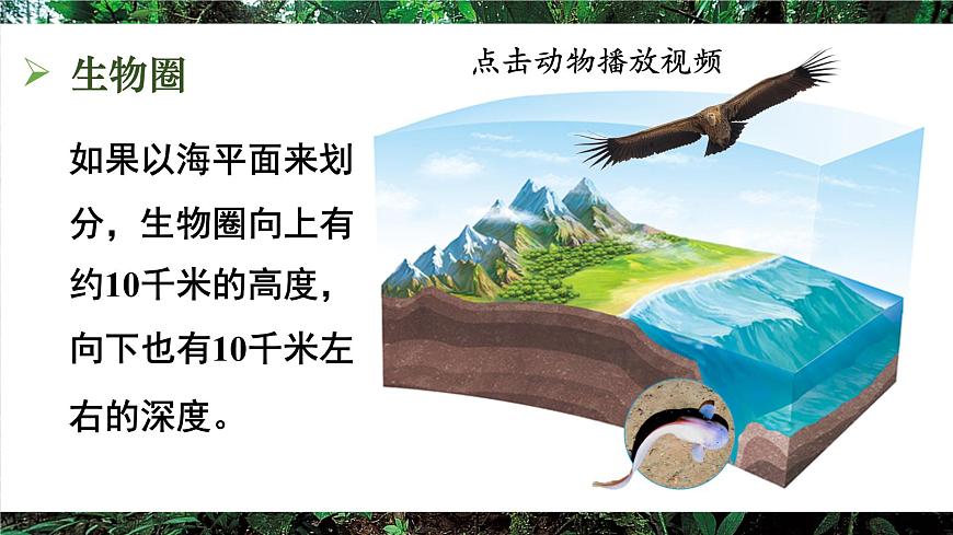 第三节 生物圈第6页