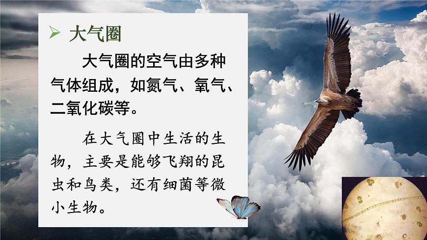 第三节 生物圈第8页