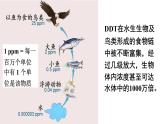 人教版（2024）生物八年年級上冊 5.2.1 分析人類活動(dòng)對生態(tài)環(huán)境的影響 （課件）