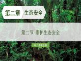 人教版（2024）生物八年年級上冊 5.2.2 維護(hù)生態(tài)安全 （課件）