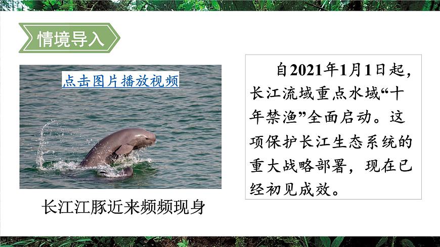 第二节 维护生态安全第2页