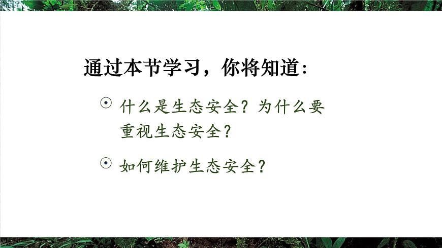第二节 维护生态安全第3页