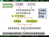 人教版（2024）生物八年年級上冊 5.2.2 維護(hù)生態(tài)安全 （課件）