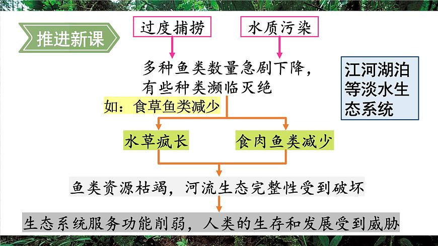 第二节 维护生态安全第4页