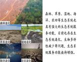 人教版（2024）生物八年年級上冊 5.2.2 維護(hù)生態(tài)安全 （課件）