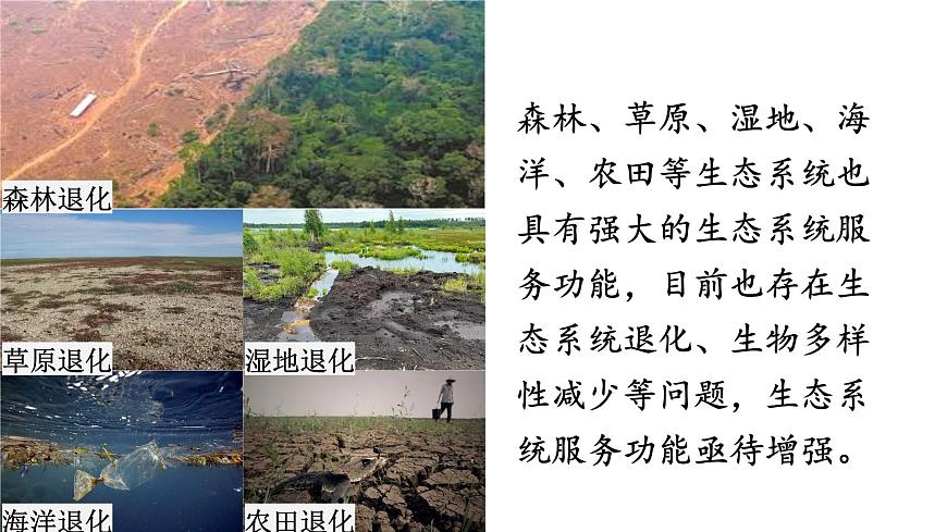 第二节 维护生态安全第5页