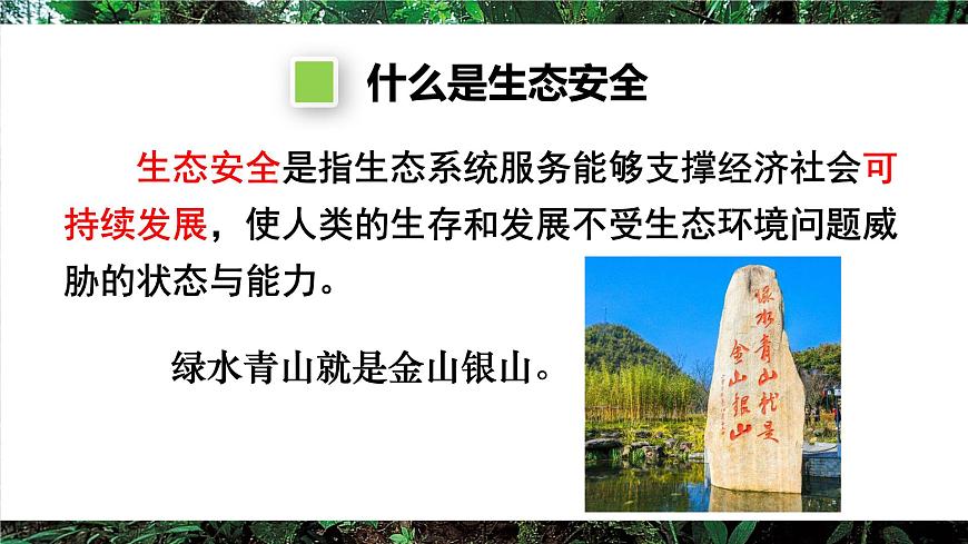 第二节 维护生态安全第6页