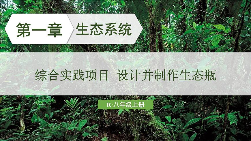 综合实践项目 设计并制作生态瓶第1页