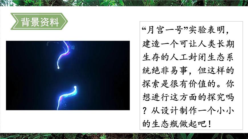 综合实践项目 设计并制作生态瓶第2页