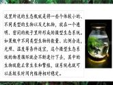 人教版（2024）生物八年年級上冊 綜合實踐項目 設(shè)計并制作生態(tài)瓶（課件）