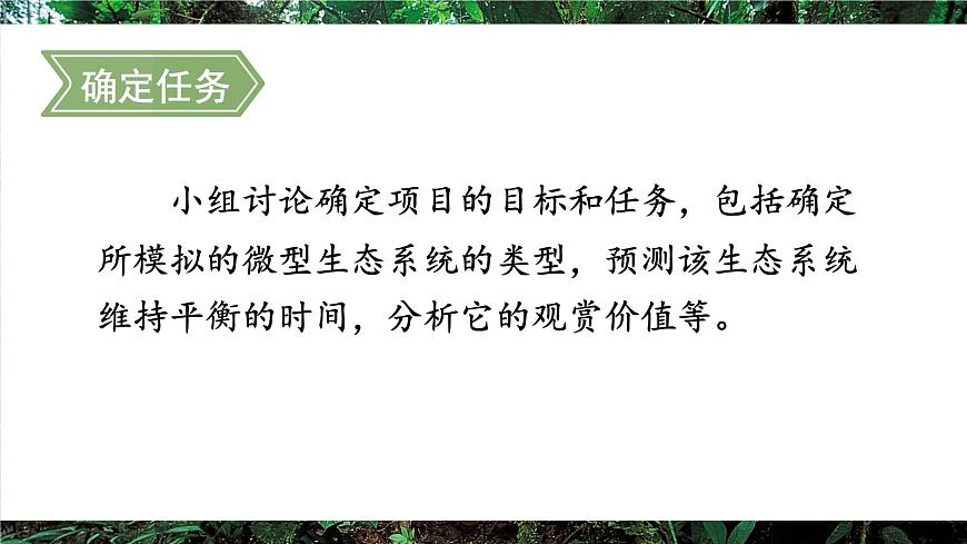 综合实践项目 设计并制作生态瓶第4页