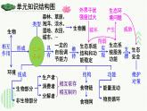 人教版（2024）生物八年年級上冊 第五單元 生物與環(huán)境 單元小結(jié) （課件）