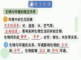 人教版（2024）生物八年年級上冊 第五單元 生物與環(huán)境 單元小結(jié) （課件）