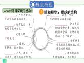 人教版（2024）生物八年年級上冊 第四單元 人體生理與健康（二） 單元小結 （課件）