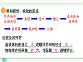 人教版（2024）生物八年年級上冊 第四單元 人體生理與健康（二） 單元小結 （課件）