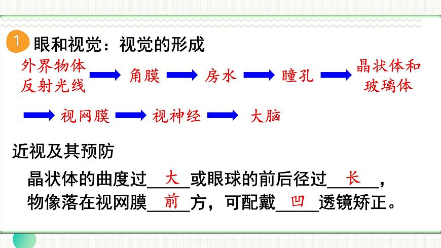 人教版（2024）生物八年年级上册 第四单元 人体生理与健康（二） 单元小结 （课件）第4页