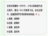 人教版（2024）生物八年年級上冊 第四單元 人體生理與健康（二） 單元小結 （課件）