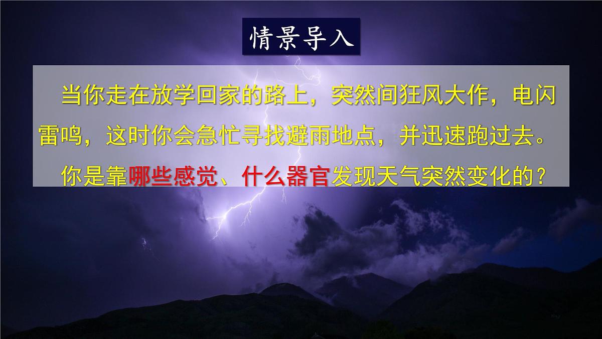 人教版生物八年级上册4.6.1.1 眼和视觉 课件第3页