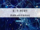 人教版生物八年級上冊4.6.2.1神經(jīng)系統(tǒng)的組成 課件