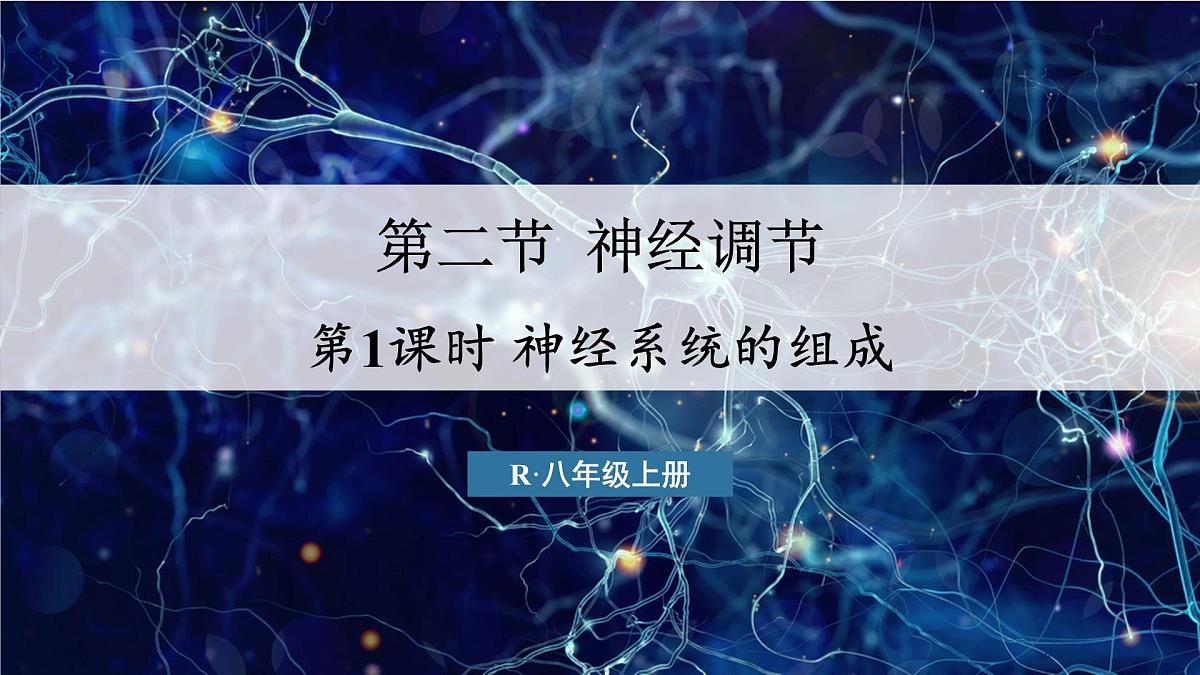 人教版生物八年级上册4.6.2.1神经系统的组成 课件第1页