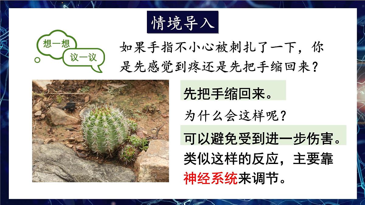 人教版生物八年级上册4.6.2.1神经系统的组成 课件第2页