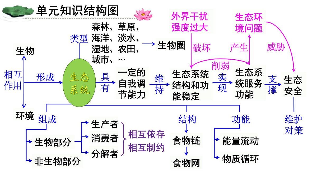人教版生物八年级上册第五单元 生物与环境单元复习  课件第2页