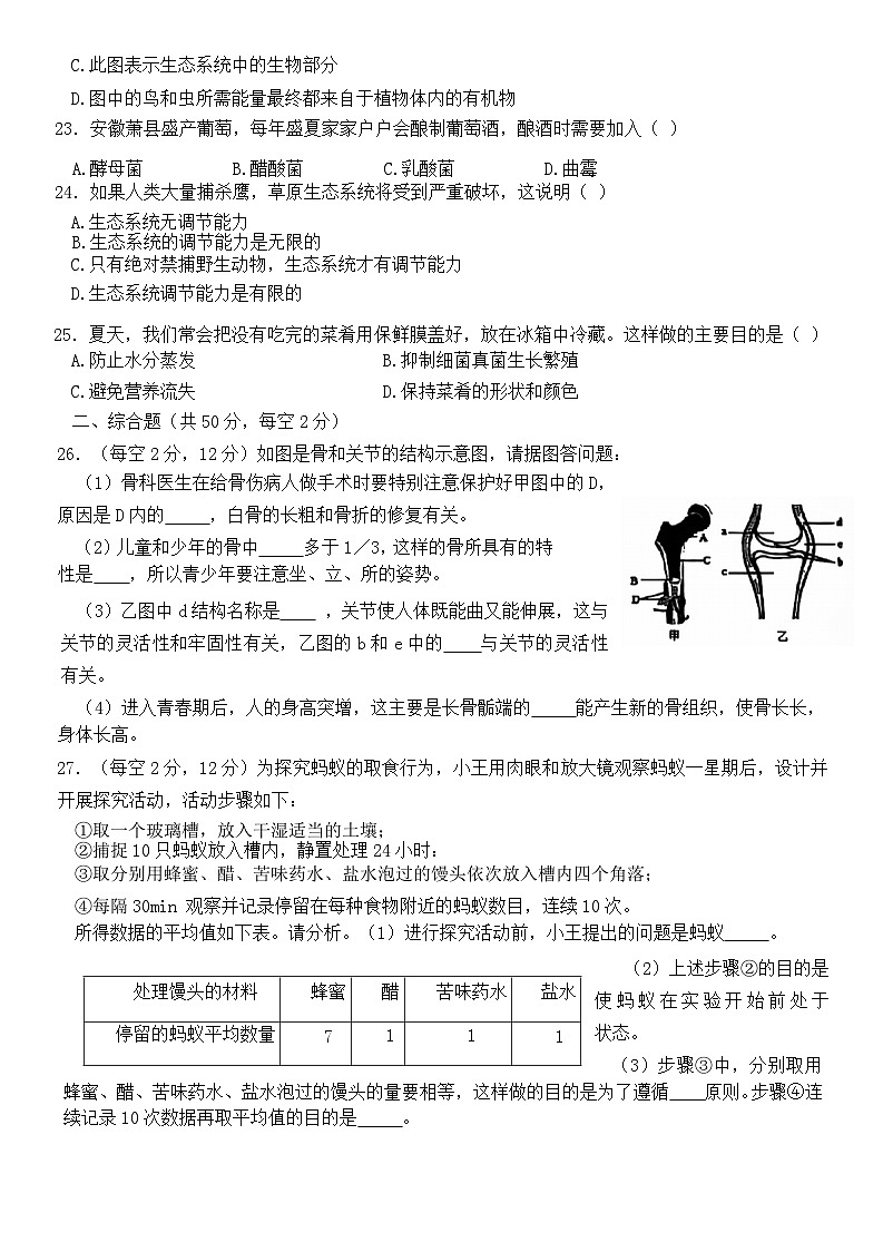 【8生（BS）期中】宿州市萧县2024-2025学年八年级上学期11月期中生物试题第3页