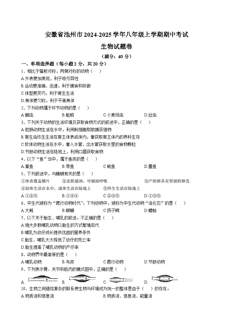 【8生（RJ）期中】池州市2024-2025学年八年级上学期期中生物试题第1页
