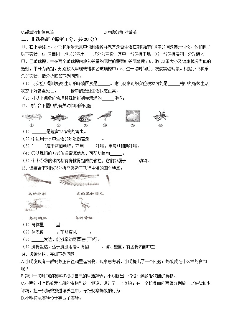 【8生（RJ）期中】池州市2024-2025学年八年级上学期期中生物试题第2页