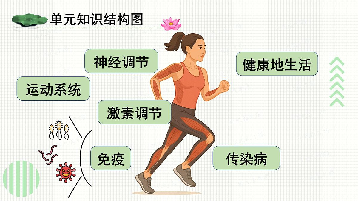 单元小结第2页
