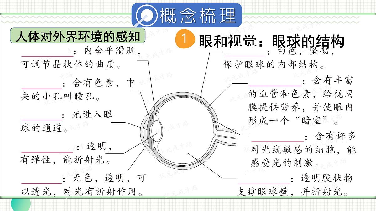 单元小结第3页