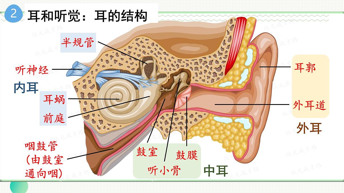 单元小结第6页