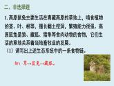 第五單元 生物與環(huán)境 單元小結(jié)（課件）2025-2026學年人教版八年級生物上冊