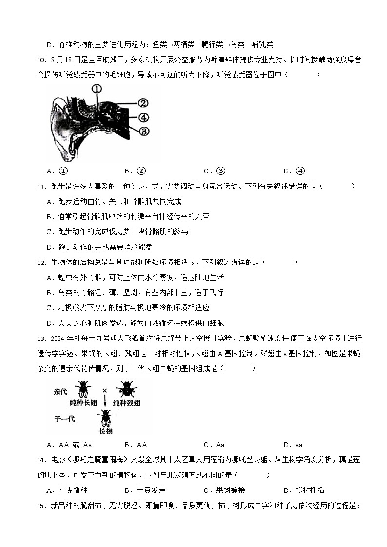 2025年河南省开封市中考生物学真题试卷及答案第3页