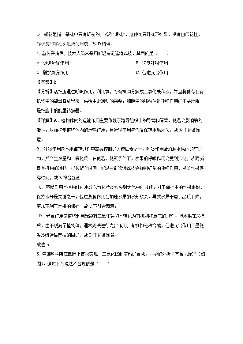 吉林省松原市前郭县南部学区2024~2025学年七年级下学期期末真题生物试卷（解析版）第3页
