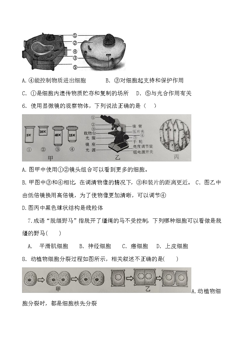 【7生（BS）期末】淮北市濉溪县2024-2025学年七年级上学期1月期末生物试题第2页